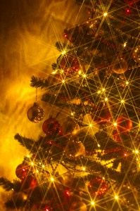 árbol de Navidad puede contener plagas de insectos