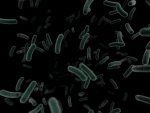 plano negativo de la presencia de bacteria legionella
