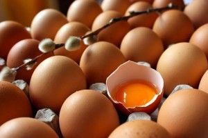 riesgos alimentarios del huevo