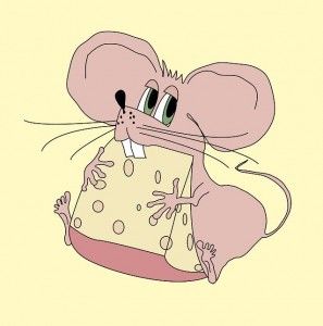 a los roedores no les gusta el queso