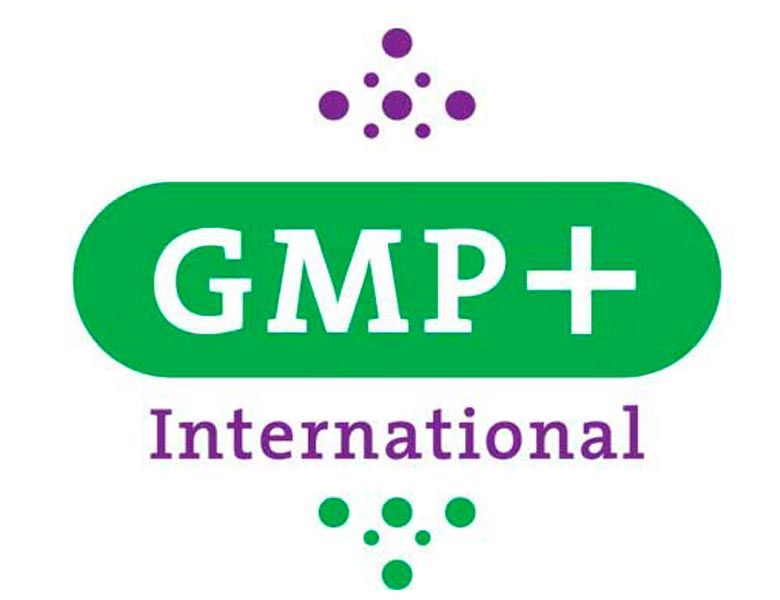 logo referencial GMP