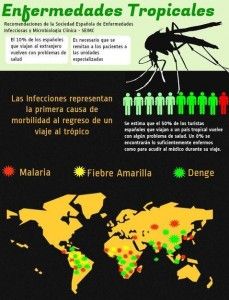 infografía de enfermedades por el mosquito tigre