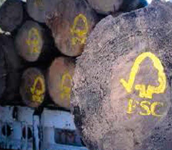 troncos de madera que cumplen el certificado FSC