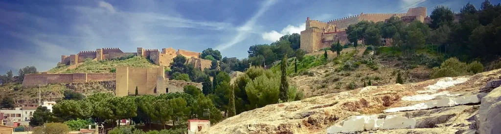 control de plagas y legionella Sagunto