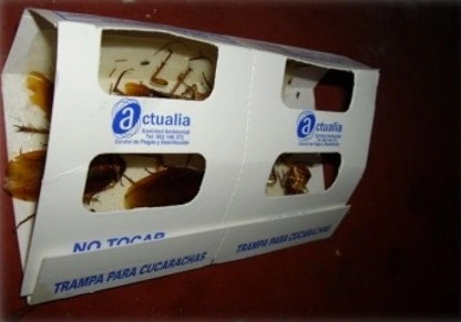 trampa cucarachas con capturas